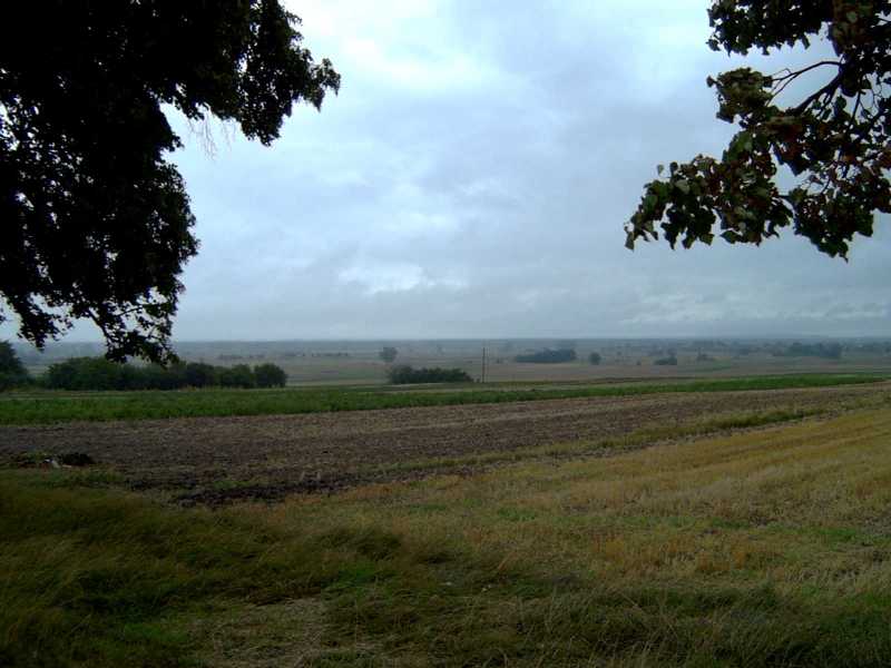 Polish countryside